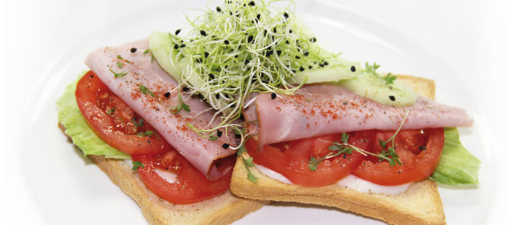 Toast gezond