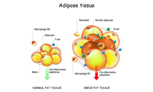 Anti-inflammatoire-stofjes
