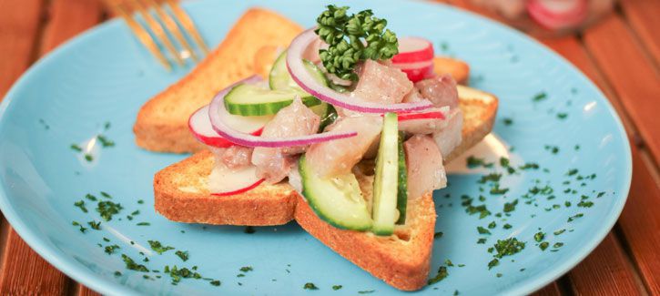 Haring op toast met radijsjes en komkommer
