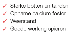 Functies Vitamine D