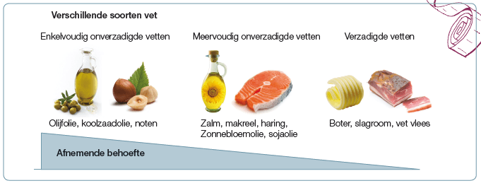 Verschillende soorten vet